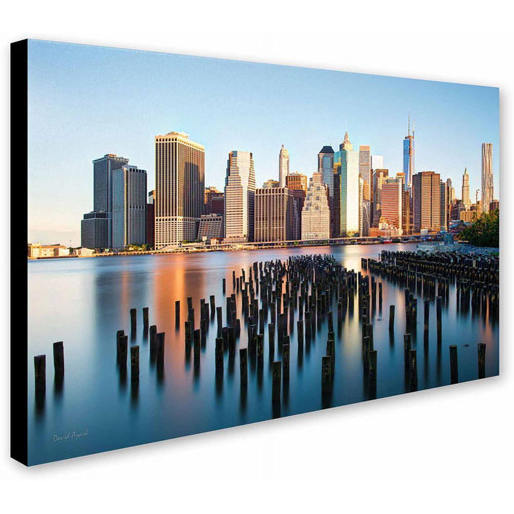 Trademark Fine Art "Brooklyn Bridge Park and Financial District - I" Canvas Art by David Ayash
