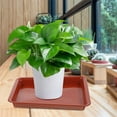 thumbnail image 1 of unbranded 8Ud Bandejas Para Plantas En Color Oscuro Resistentes Y Duraderas Para Uso En Interior, 1 of 8