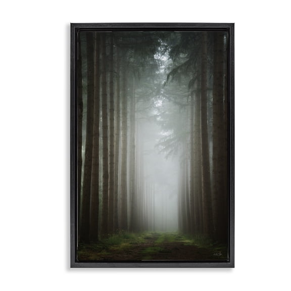 Stupell Industries Farmhouse Moonlight Through Dark Forest Black Floating Frame Canvas Art, 17 x 25, by Martin Podt