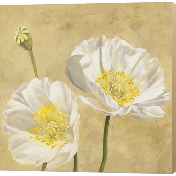 Poppies on Gold I by Luca Villa, Canvas Wall Art, 24W x 24H