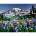 thumbnail image 1 of Taladro diamante pintura (DB3430) campo de flores DIY completo para mosaico Kit imagen artesanía 45x60cm Hugtrwg Para estrenar, 1 of 1