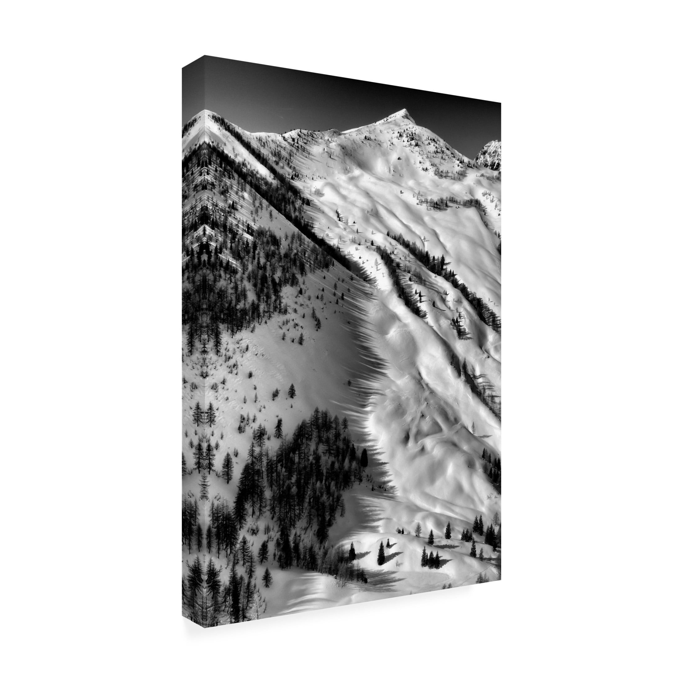 Trademark Fine Art Ales Klabus Low winter sun shadows 2 Canvas Wall Art