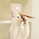 thumbnail image 4 of Juguete para gatos, pelota interactiva que rebota para gatos de interior y exterior, juguetes activos para gatos, pelotas para gatos, juguetes interactivos para gatos, juguetes portátiles, 4 of 8