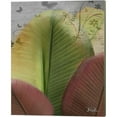 thumbnail image 2 of Great Art Now Butterfly Palm by Patricia Pinto 2 Piece Canvas Art Set Each 12W x 15H, 2 of 3