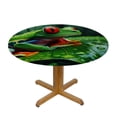 thumbnail image 3 of PIKWEEK  Red Eyed Tree Frog Jungle Leaf Round Fitted Tablecloth Elastic Edge Waterproof Oil-Proof Table Cover Stain-Resistant Table Cloth Fits Round Tables, 3 of 7