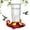 Clear, variant on Kingsyard Window Hummingbird Feeder for Outdoors, 16 oz Leak Proof, 4 Bee Proof Feeding Ports, Red