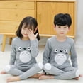 thumbnail image 2 of Conjunto de pijamas de dibujos animados para niños y niñas, ropa de dormir de Totoro, traje de dormir de algodón, ropa infantil, 2 of 4