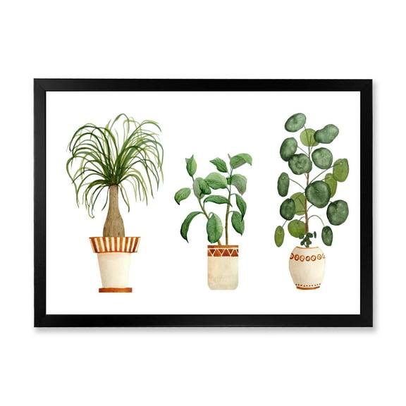 Designart 'Trio of House Plants Ficus Ponytail and Palm' Traditional Framed Art Print