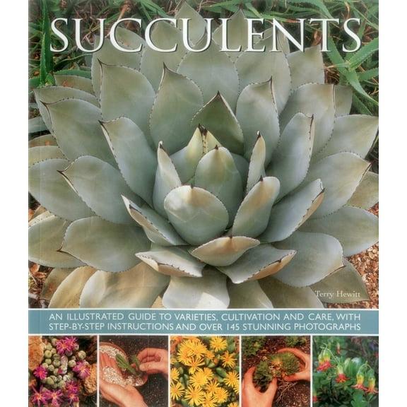 Succulents: An Illustrated Guide to Varieties, Cultivation and Care, with Step-By-Step Instructions and Over 145 Stunnin, (Paperback)