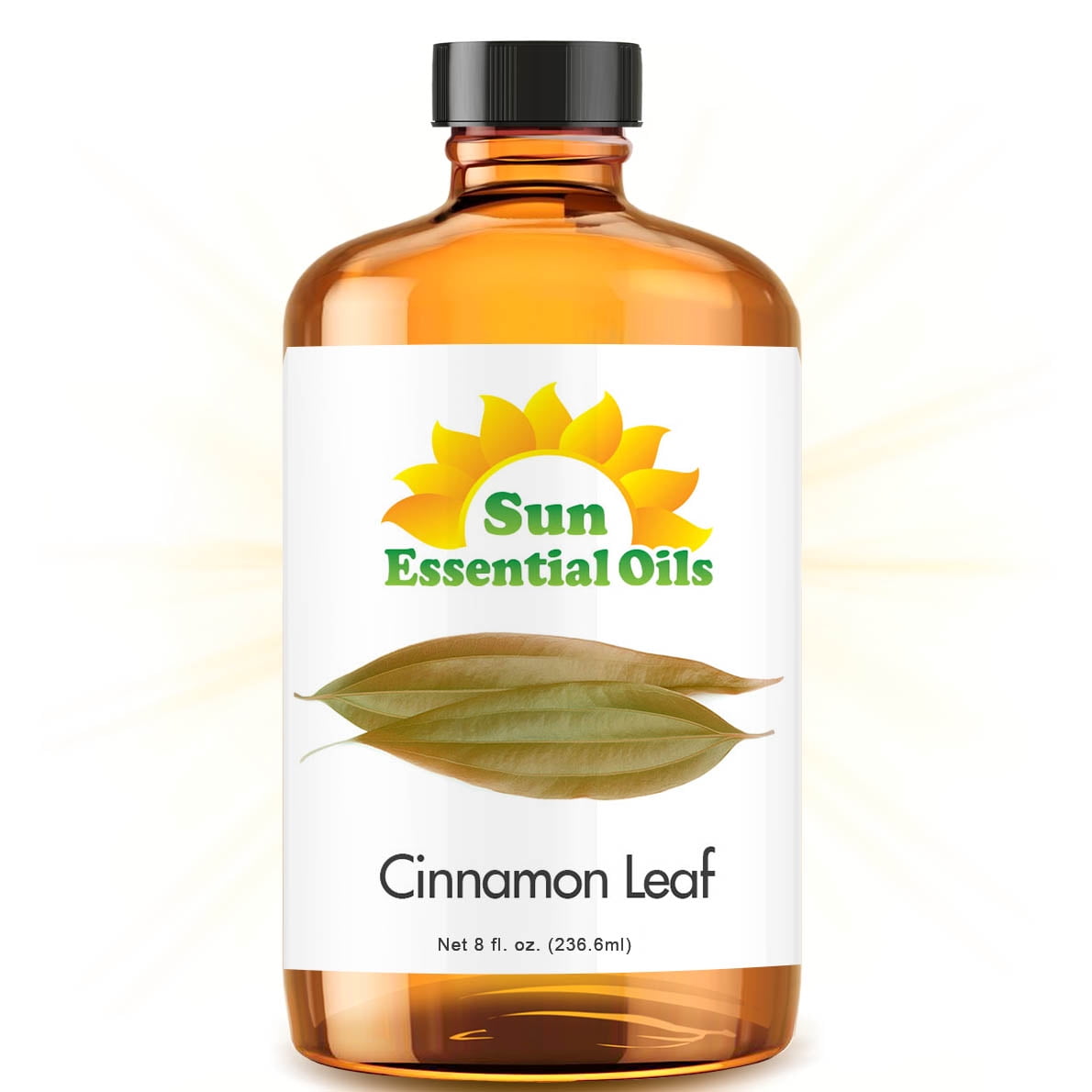 Cinnamon Leaf Essential Oil (Huge 8oz Bottle) Bulk Cinnamon Leaf Oil