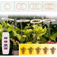 thumbnail image 3 of 1/2/3/4 Ring Small Plant Halo Grow Light with 8/12/16H Timer for Desk,Full Spectrum LEDs USB Mini Dimmable Grow Light for Indoor Umbrella Plant Seeds herb Growth(3 Rings), 3 of 8