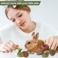 thumbnail image 4 of Qweryboo 16PCS Rabbit Toys Bunny Chew Toys for Teeth, Natural Timothy Hay Chew Treats, Improve Dental Health for Rabbit Bunny Chinchilla Guinea Pig Hamster, Hand Made Safe, 4 of 7
