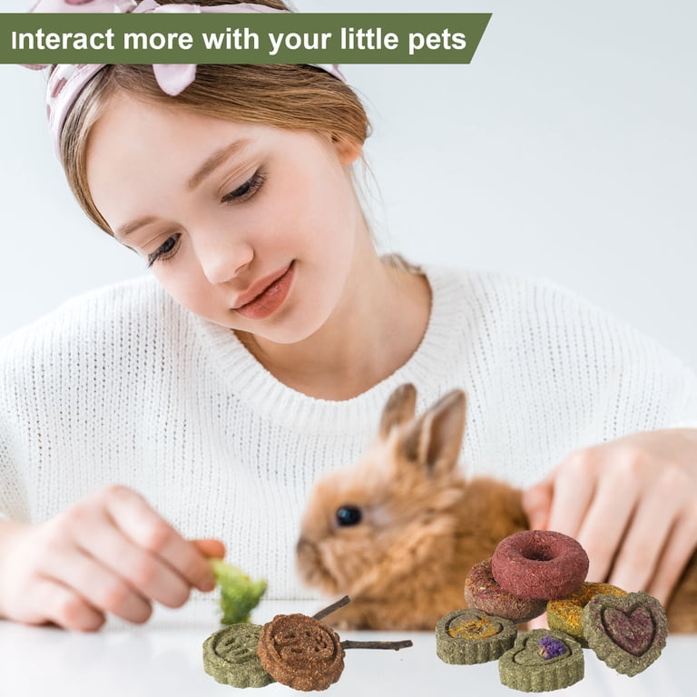 Qweryboo Natural Timothy Hay Chew Toys, 16-Piece Set photo 4