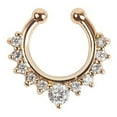 thumbnail image 1 of Nose Ring Fashion Rhinestone Decorative Creative Nose Hoop Nose Piercing Jewelry, 1 of 6
