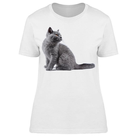 Sitting British Shorthair Kitty T-Shirt Women -Image by Shutterstock, Female XX-Large