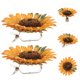 thumbnail image 5 of 2 abrazaderas para cortinas con diseño de girasol, decorativas., 5 of 8