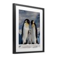 thumbnail image 2 of Stupell Industries Contemporary Penguins In The Wild Black Framed Print Under Glass, 13 x 16, by Scott Stulberg, 2 of 8