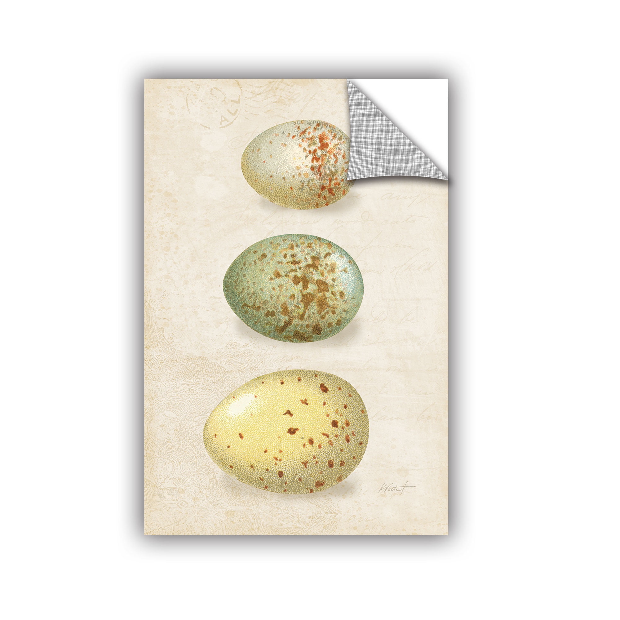 Bird Eggs I