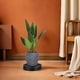 thumbnail image 4 of MERRYHAPY Plataforma Con Para Plantas Con Drenaje Fácil Mover Macetas En Casa, 4 of 6