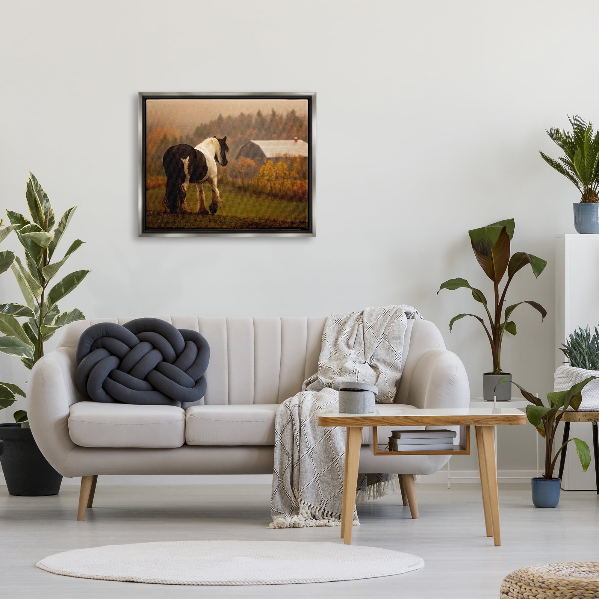 Stupell Industries Horse Overlooking Barn Landscape Photography Gray Floater Framed Canvas Art Print Wall Art, 31 x 25