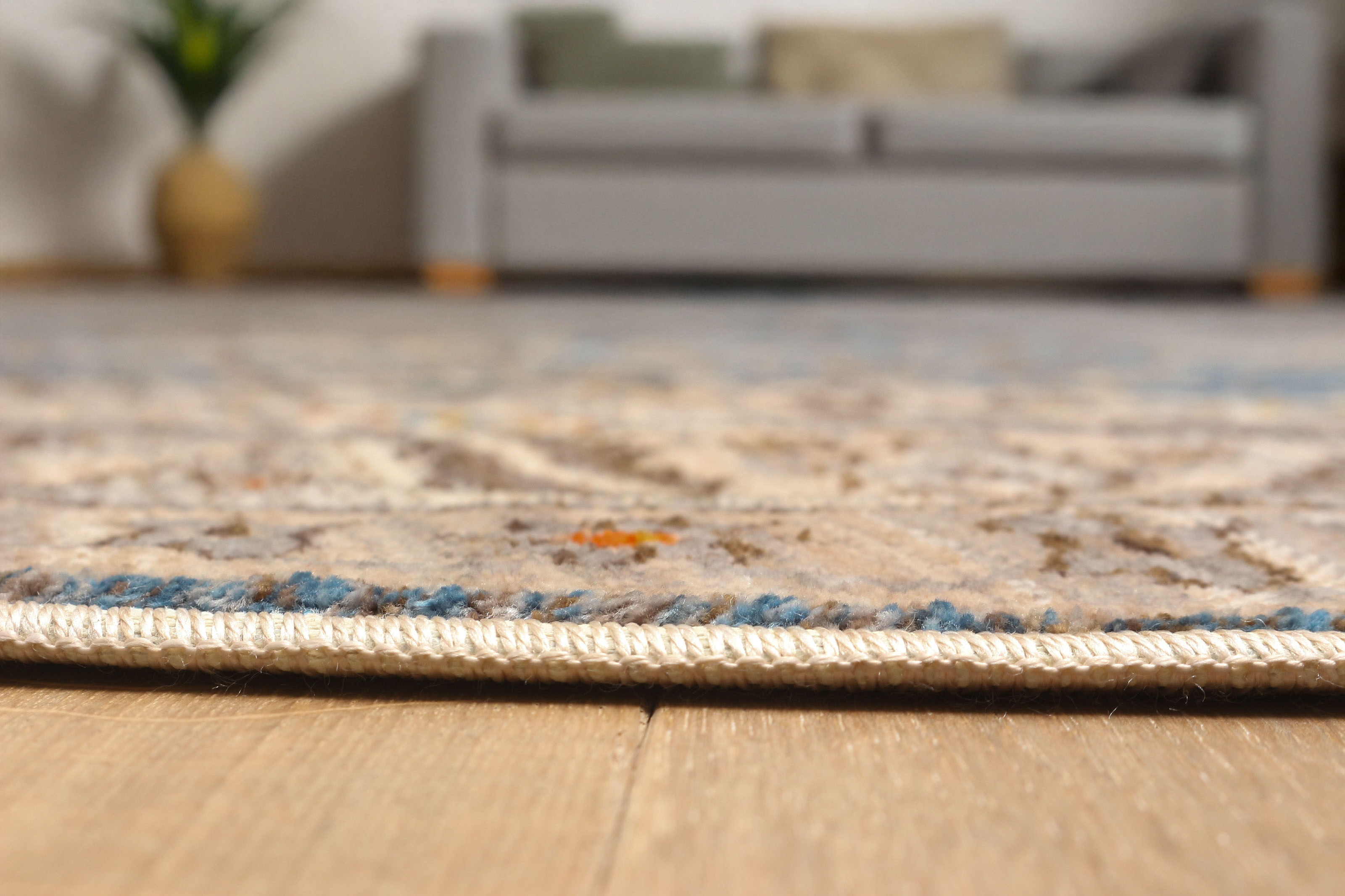 ECARPET Gianna Traditional Area Rug for Living Room, Bedroom, Dining Room, Entrance, Hallway and More.