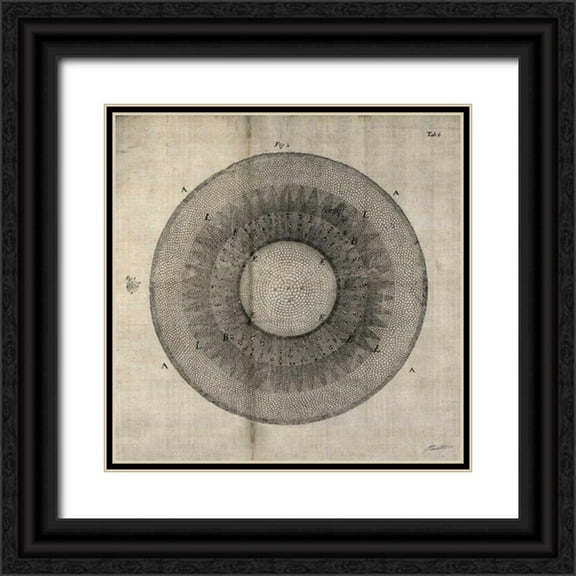 Butler, John 26x26 Black Ornate Wood Framed with Double Matting Museum Art Print Titled - Cross Cut II