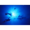 thumbnail image 2 of Hawaii  Oahu  Silhouette Of Scuba Divers Near The Surface Above Mahi Wreck  Ascending The Anchor Line. Print, 2 of 2