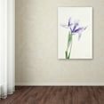thumbnail image 3 of Trademark Fine Art 'Light and Bright Floral IV' Canvas Art by Elizabeth Urquhart, 3 of 3