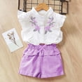 thumbnail image 2 of Toddler Girl Clothes Ruffle Floral Embroidery Shirt and Shorts Set, 2 of 9