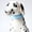 Blue, variant on KIHOUT Multi-Color USB Rechargeable LED Dog Collar 1 Count, TPU Cuttable Size Glow Collar for Dogs, Dog Collar Light for Large Medium Small Dogs Walking at Night 2.5*48cm