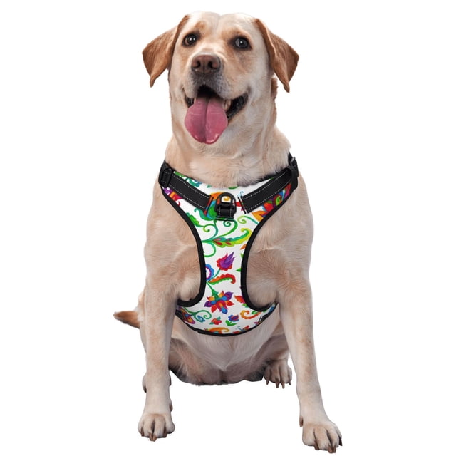 Balery Paisley Arnés para Perros Grandes Antitirones, Arnés con Correa para Gato, Arnés Tipo Chaleco para Perros Pequeños-Large