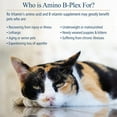 thumbnail image 3 of Rx Vitamins Amino B Plex for Pets - B Vitamin Complex Plus Amino Acids for Dogs & Cats - Vitamin Supplements for Dogs' & Cats' Total Body Support - 4 oz, 3 of 6