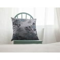 thumbnail image 5 of Amrita Sen Honey Butterfly Double Sided Suede Pillow, Zippered, Gray on White, 5 of 5
