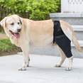 thumbnail image 6 of Dog Elbow Protector, Padded Elbow Brace for Canine, Shoulder Support Protection for Callus, Hygroma, Dysplasia, Arthritis, Osteoarthritis, Pressure Sores, Avoid Cone of Shame - XL, 6 of 7