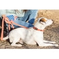 thumbnail image 4 of Affordable European Luxury Soft Leather Quick Release Buckle Dog Collar Made in USA, 4 of 11