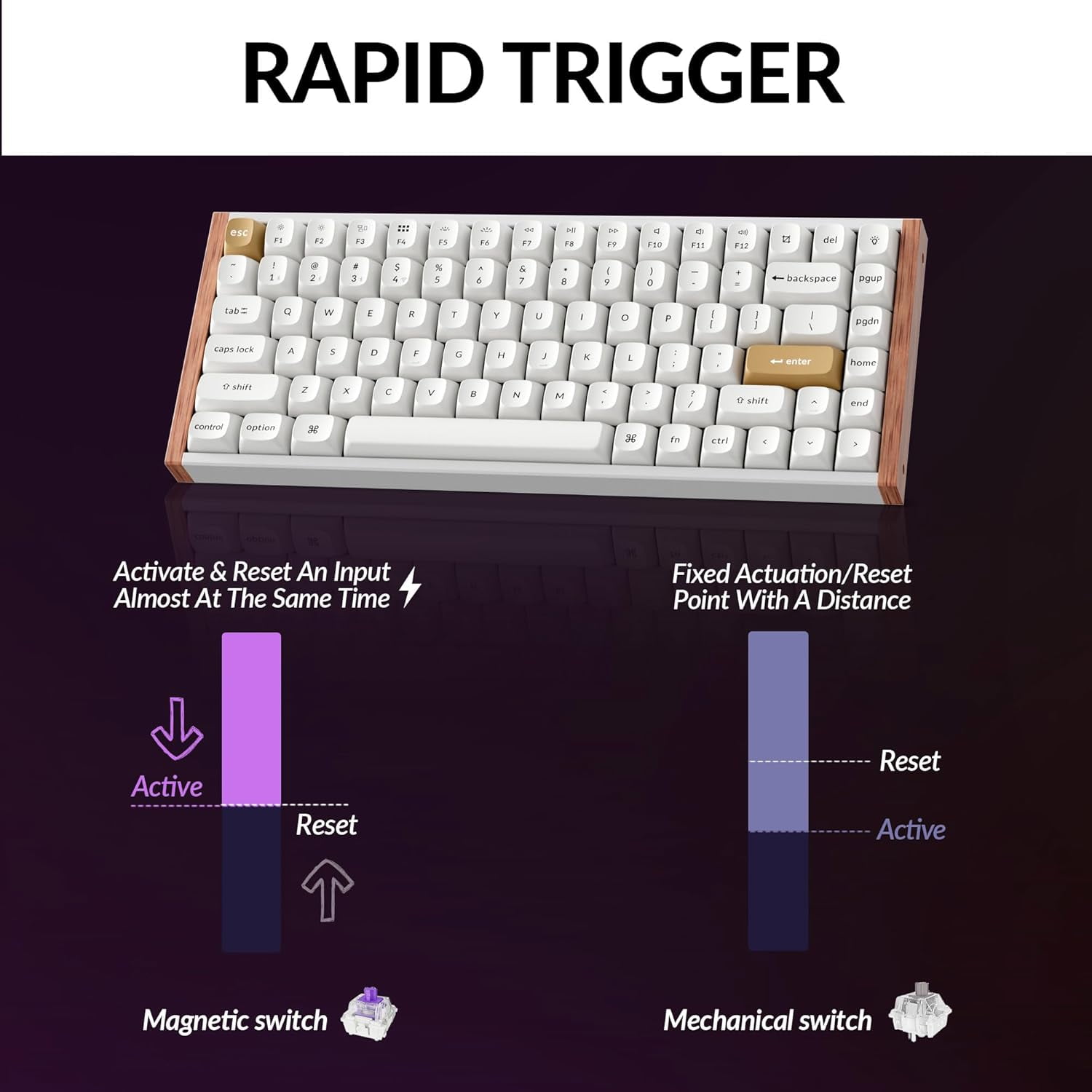 Keychron K2 HE Rapid Trigger Wireless Custom Mechanical Keyboard with Hall Effect Gateron Double-Rail Magnetic Switch, QMK 2.4 GHz Bluetooth 5.2 RGB Compatible with Mac Windows Linux