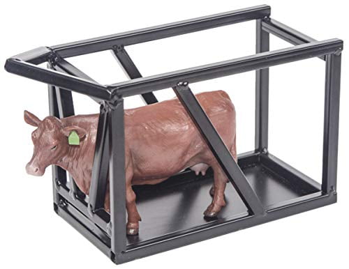 little buster cows