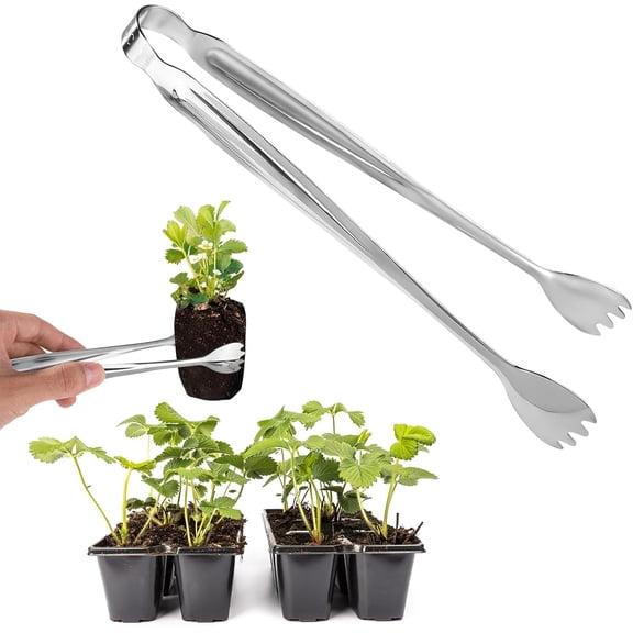 Seed Planting Tool Seedling Transplant Tong Stainless Steel 0.94×8.15in 1pcs