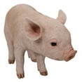 thumbnail image 4 of Hi-Line Gift Standing Pig Statue with Black Spots, 4 of 5