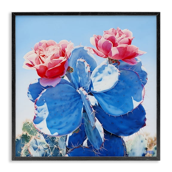 Stupell Industries Rustic Lodge Twin Cactus Blossoms Black Framed Giclee Art, 12 x 12, by RB
