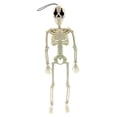 thumbnail image 2 of Esqueleto colgante de Halloween mayimx esqueleto posable 16 pulgadas decoración realista, 2 of 9