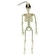 thumbnail image 2 of Esqueleto móvil, esqueleto de Halloween para colgar en el árbol, accesorio fotográfico de cuerpo entero de payaso Nariz roja, 2 of 9