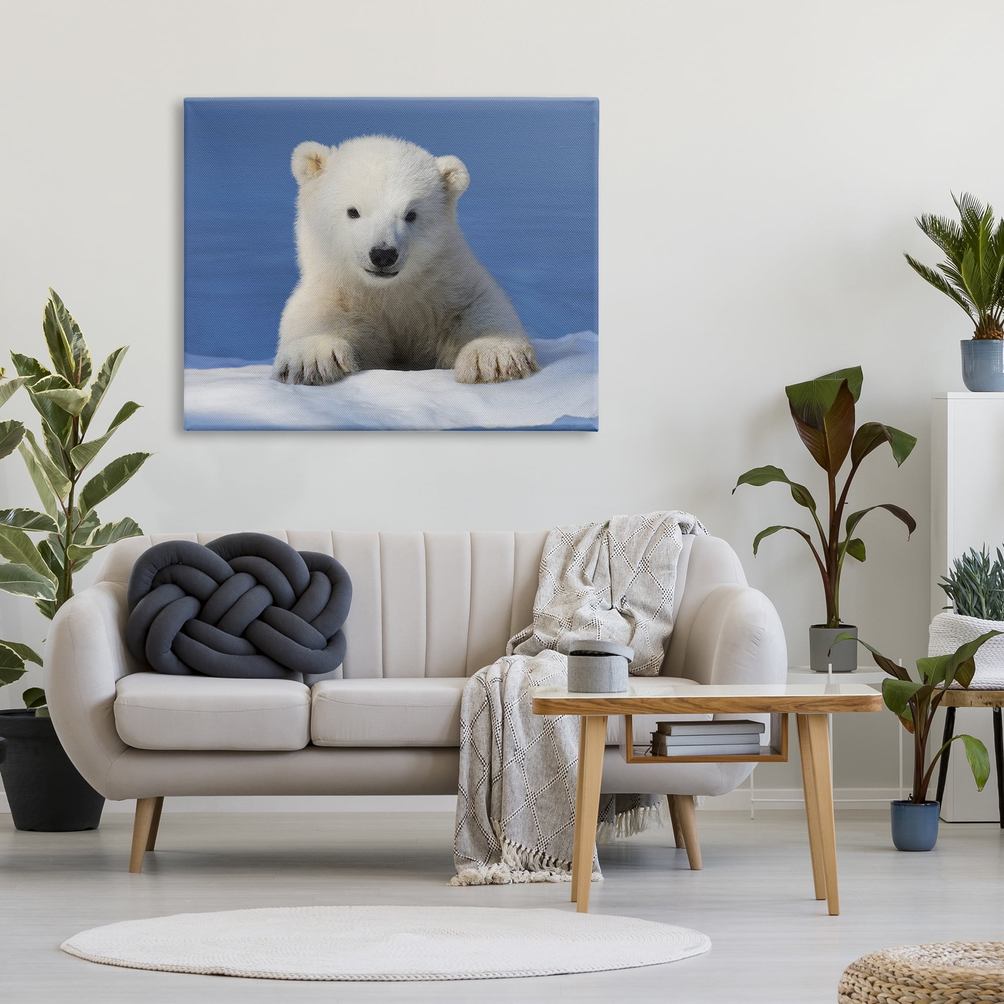 Stupell Industries Baby Polar Bear Peeking Animals & Insects Photography Gallery Wrapped Canvas Print Wall Art, 48 x 36