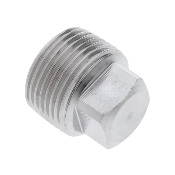 LADYGYM Stainless Steel Garboard Drain Plug for Boats,1/8-1" NPT Thread