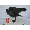 thumbnail image 4 of Nifao Raven with Open Wings Bronze Statue – Home Decor Sculpture, 16"L x 25"W x 15"H, 4 of 10