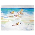 thumbnail image 1 of Betsy Drake PM1090 Tapis de Lieu Cinq Sanderlings - Lot de 4, 1 of 1