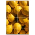 thumbnail image 1 of Picture-Tiles.com: Fruit Ceramic Tile Wall Mural WAL500669-46S. 17"W x 25.5"H using (24) 4.25" x 4.25" Ceramic Tiles-Satin Finish, 1 of 3