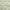 Greenish Beige, variant on oneOone Polyester Lycra Sky Blue Fabric Leaves Craft Projects Decor Fabric Printed By The Yard 56 Inch Wide