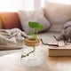 thumbnail image 5 of Jardinera de cristal de escritorio 2 unids Chic Hydroponics Jase Junter Glass Jase para el hogar, 5 of 6