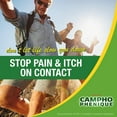 Foundation Consumer Healthcare Campho Phenique Pain & Itch Relief